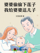 婆婆偷偷下莲子，我给婆婆送儿子在线阅读