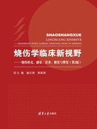 烧伤学临床新视野：烧伤休克、感染、营养、修复与整复（第2版）