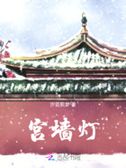 宫墙灯在线阅读
