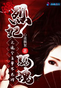 烈妃孤魂之這個王爺不太冷