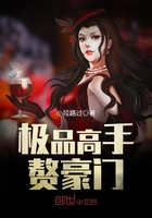 極品高手贅豪門在線閱讀