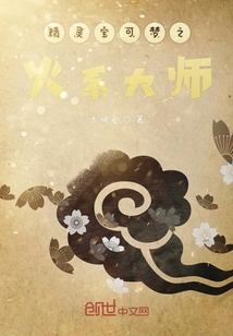 精靈寶可夢之火系大師