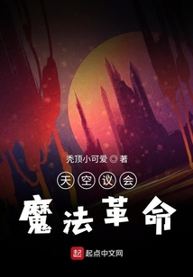 天空議會魔法革命