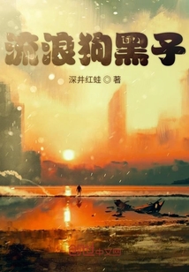 流浪狗黑子