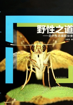 野性之道：自然生态摄影探索 封面