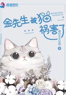 金先生被貓禍害了