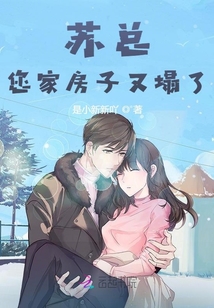 蘇總,您家房子又塌了