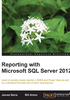 Reporting with Microsoft SQL Server 2012