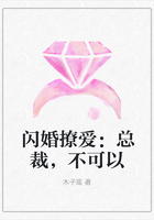 閃婚撩愛：總裁，不可以在線閱讀