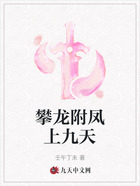 攀龍附鳳上九天在線閱讀