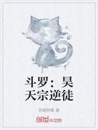 斗罗：昊天宗逆徒在线阅读