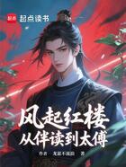 风起红楼，从伴读到太傅在线阅读