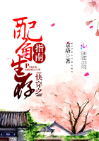 快穿之配角生存指南在線閱讀