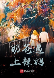 奶爸遇上辣媽