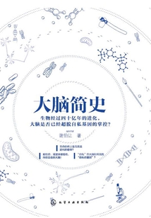 大腦簡史