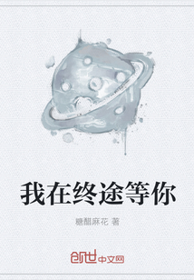 我在終途等你