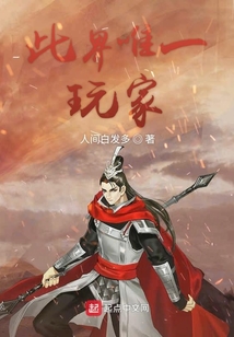 此界唯一玩家