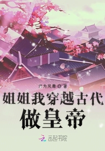 姐姐我穿越古代做皇帝