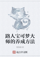 路人宝可梦大师的养成方法