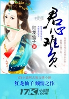 君心難負在線閱讀