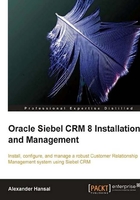 Oracle Siebel CRM 8 Installation and Management在线阅读