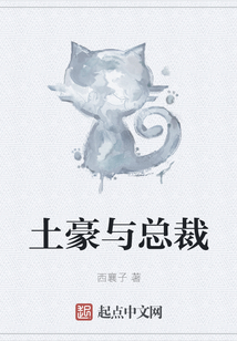 土豪與總裁