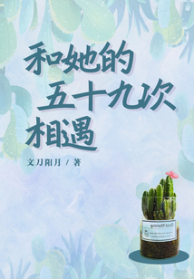 和她的五十九次相遇