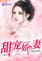 甜宠娇妻:言少的心尖宠