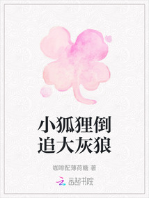 小狐貍倒追大灰狼