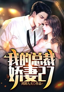 我的總裁嬌妻27