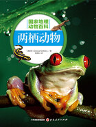 两栖动物(国家地理动物百科)在线阅读
