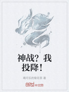 神战?我投降!在线阅读