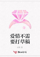 愛情不需要打草稿在線閱讀