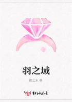 羽之域在線閱讀