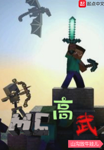 MC高武