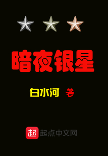 暗夜銀星