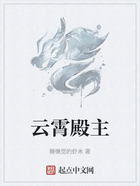 云霄殿主在线阅读