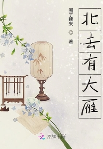 北去有大雁