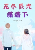 無盡辰光瀟瀟下在線閱讀
