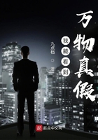 我能看到万物真假