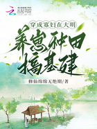 穿成寡妇,在大明养崽种田搞基建在线阅读