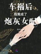 车祸后我竟成了炮灰女配在线阅读