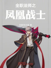 全职法师之凤凰战士在线阅读