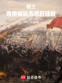 领主:我用骑砍系统肝经验