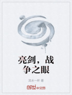 亮剑，战争之眼在线阅读