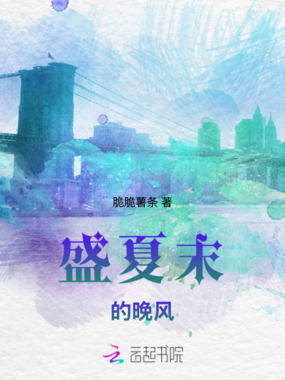 盛夏末的晚风在线阅读