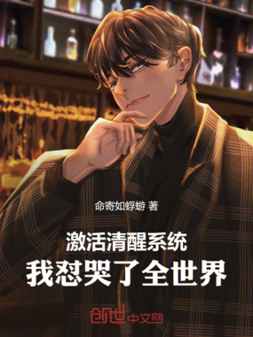 激活清醒系统，我怼哭了全世界在线阅读