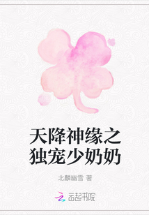 天降神緣之獨(dú)寵少奶奶