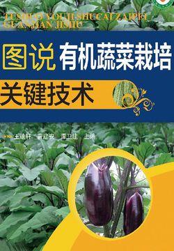 图说有机蔬菜栽培关键技术 封面