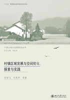 村鎮區域發展與空間優化：探索與實踐在線閱讀